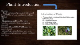 Breeding for resistance to biotic stresses | PPTX