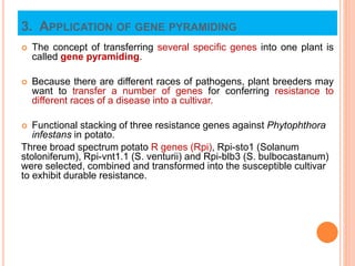 Breeding for resistance to disease and insect pests(biotic stress) | PPTX