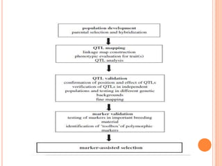 Breeding for resistance to disease and insect pests(biotic stress) | PPTX