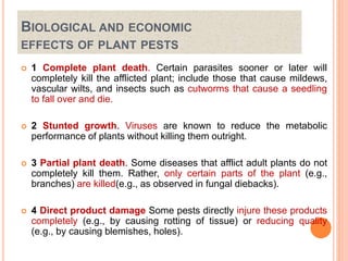 Breeding for resistance to disease and insect pests(biotic stress) | PPTX