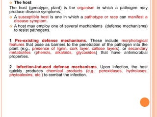 Breeding for resistance to disease and insect pests(biotic stress) | PPTX