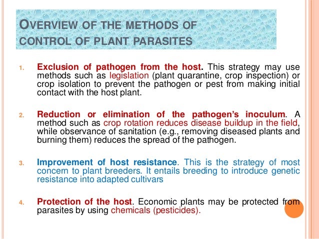 Breeding For Resistance To Disease And Insect Pests Biotic Stress