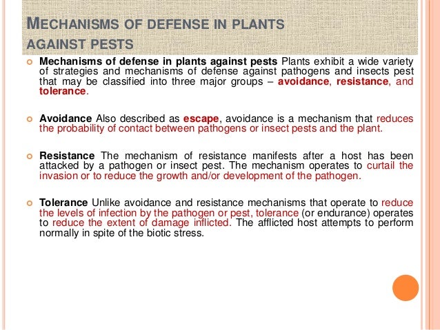 mechanisms development of to the 3 for tolerance account to Breeding insect disease pests(biotic resistance and for