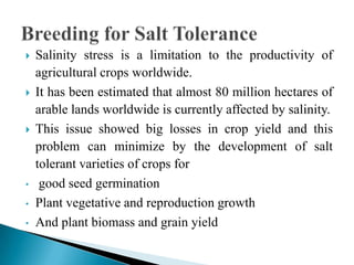 Breeding for salinity tolerance in hydroponic systems of crop plants | PPTX