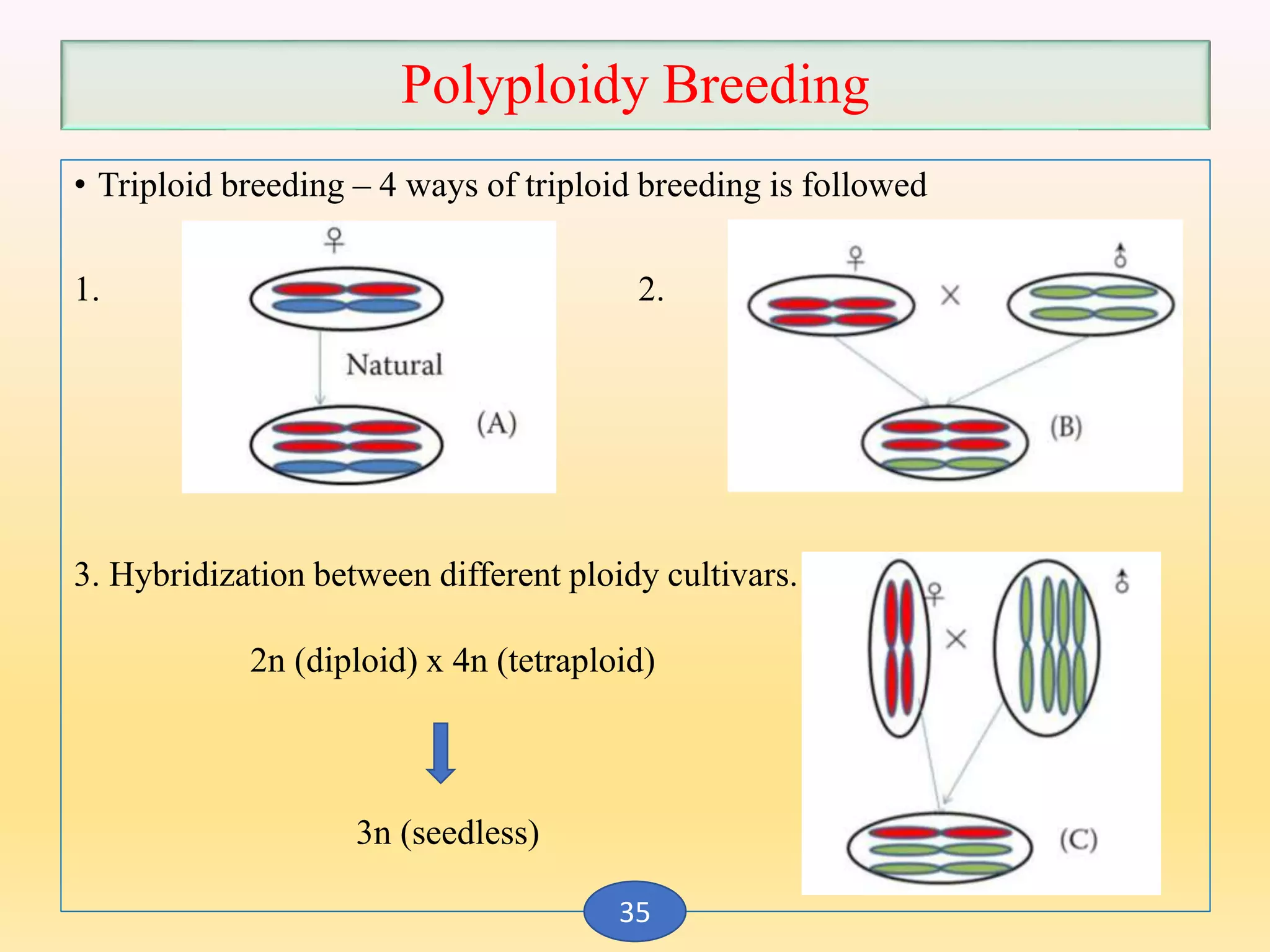 Breeding for seedlessness in fruit crops | PPTX