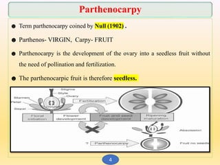 Breeding for seedlessness in fruit crops | PPTX
