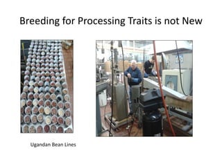 Incorporating gender-sensitive traits in breeding programs