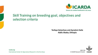 International Center for Agricultural Research in the Dry Areas
icarda.org cgiar.org
A CGIAR Research Center
Tesfaye Getachew and Aynalem Haile
Addis Ababa, Ethiopia
Skill Training on breeding goal, objectives and
selection criteria
 