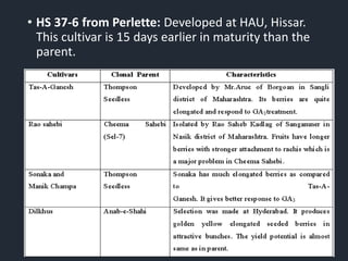 • HS 37-6 from Perlette: Developed at HAU, Hissar.
This cultivar is 15 days earlier in maturity than the
parent.
 