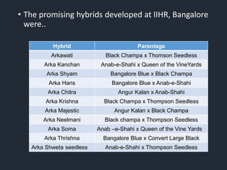 • The promising hybrids developed at IIHR, Bangalore
were..
Hybrid Parentage
Arkawati Black Champa x Thomson Seedless
Arka Kanchan Anab-e-Shahi x Queen of the VineYards
Arka Shyam Bangalore Blue x Black Champa
Arka Hans Bangalore Blue x Anab-e-Shahi
Arka Chitra Angur Kalan x Anab-Shahi
Arka Krishna Black Champa x Thompson Seedless
Arka Majestic Angur Kalan x Black Champa
Arka Neelmani Black champa x Thompson Seedless
Arka Soma Anab –e-Shahi x Queen of the Vine Yards
Arka Thrishna Bangalore Blue x Convert Large Black
Arka Shweta seedless Anab-e-Shahi x Thompson Seedless
 
