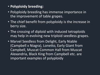 • Polyploidy breeding:
• Polyploidy breeding has immense importance in
the improvement of table grapes.
• The chief benefit from polyploidy is the increase in
berry size.
• The crossing of diploid with induced tetraploids
may help in evolving new triploid seedless grapes.
• Marvel Seedless from Delight, Early Niable
(Campbell x Niagra), Lonetto, Early Giant from
Campbell, Muscat Common Hall from Muscat
Alexandria, Black King from Campbell etc. are
important examples of polyploidy
 