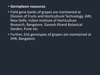 • Germplasm resources
• Field gene banks of grapes are maintained at
Division of Fruits and Horticultural Technology, IARI,
New Delhi, Indian Institute of Horticulture
Research, Bangalore, Ganesh Khand Botanical
Garden, Pune etc.
• Further, 616 genotypes of grapes are maintained at
IIHR, Bangalore.
 