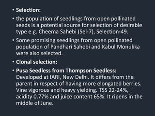 • Selection:
• the population of seedlings from open pollinated
seeds is a potential source for selection of desirable
type e.g. Cheema Sahebi (Sel-7), Selection-49.
• Some promising seedlings from open pollinated
population of Pandhari Sahebi and Kabul Monukka
were also selected.
• Clonal selection:
• Pusa Seedless from Thompson Seedless:
Developed at IARI, New Delhi. It differs from the
parent in respect of having more elongated berries.
Vine vigorous and heavy yielding. TSS 22-24%,
acidity 0.77% and juice content 65%. It ripens in the
middle of June.
 