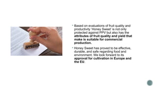  Based on evaluations of fruit quality and
productivity ‘Honey Sweet’ is not only
protected against PPV but also has the
attributes of fruit quality and yield that
make is suitable for commercial
production.
 Honey Sweet has proved to be effective,
durable, and safe regarding food and
environment. We look forward to its
approval for cultivation in Europe and
the EU.
 