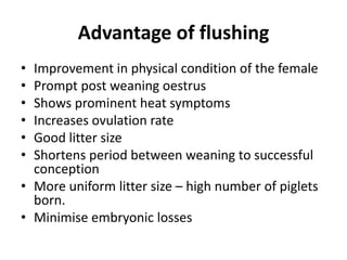 Advantage of flushing
• Improvement in physical condition of the female
• Prompt post weaning oestrus
• Shows prominent heat symptoms
• Increases ovulation rate
• Good litter size
• Shortens period between weaning to successful
conception
• More uniform litter size – high number of piglets
born.
• Minimise embryonic losses
 