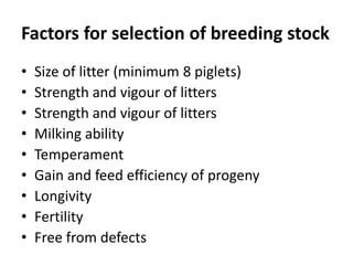 Factors for selection of breeding stock
• Size of litter (minimum 8 piglets)
• Strength and vigour of litters
• Strength and vigour of litters
• Milking ability
• Temperament
• Gain and feed efficiency of progeny
• Longivity
• Fertility
• Free from defects
 