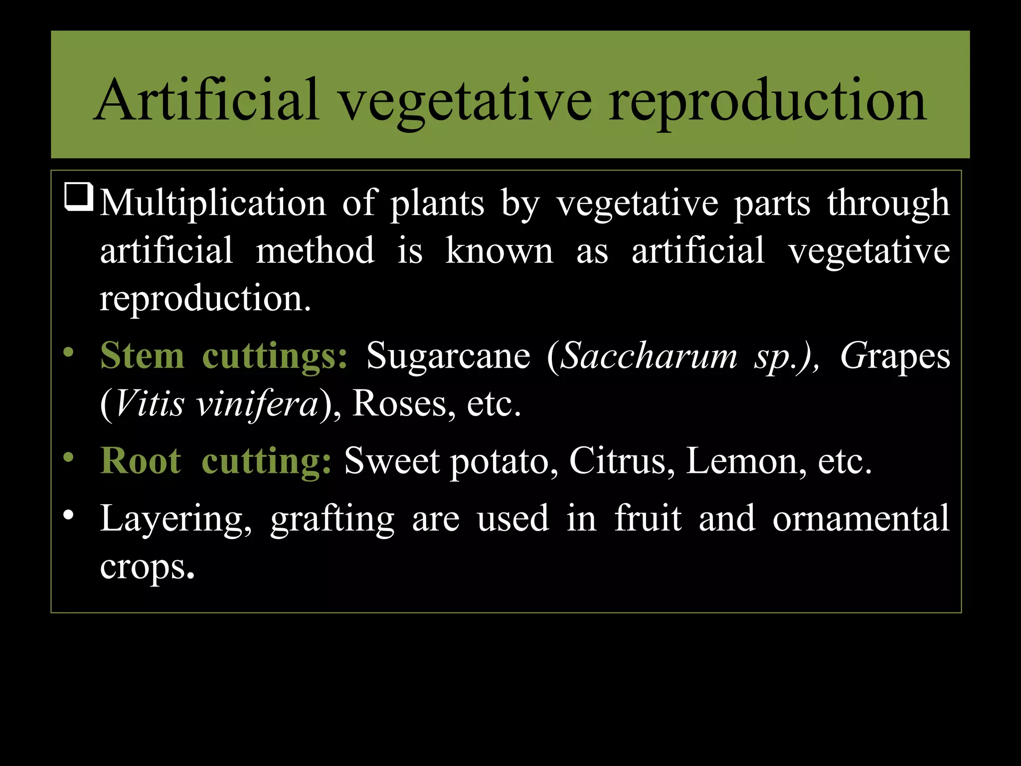 Artificial vegetative reproduction
 Multiplication of plants by vegetative parts through
artificial method is known as artificial vegetative
reproduction.
• Stem cuttings: Sugarcane (Saccharum sp.), Grapes
(Vitis vinifera), Roses, etc.
• Root cutting: Sweet potato, Citrus, Lemon, etc.
• Layering, grafting are used in fruit and ornamental
crops.

 