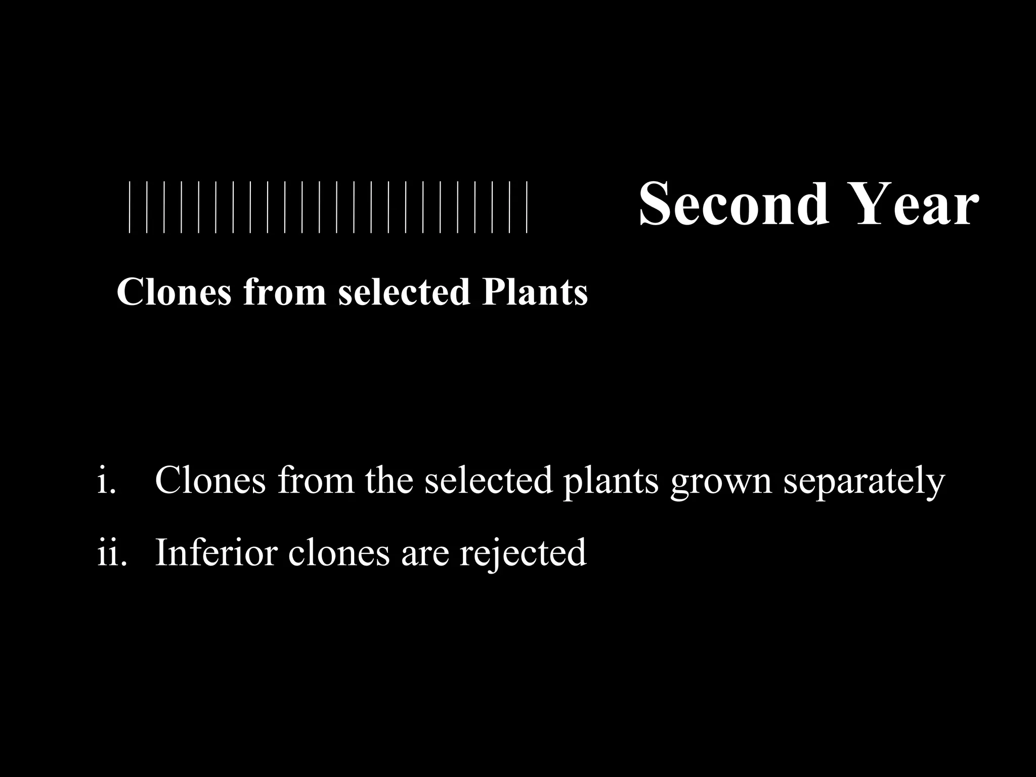 Second Year
Clones from selected Plants

i. Clones from the selected plants grown separately
ii. Inferior clones are rejected

 
