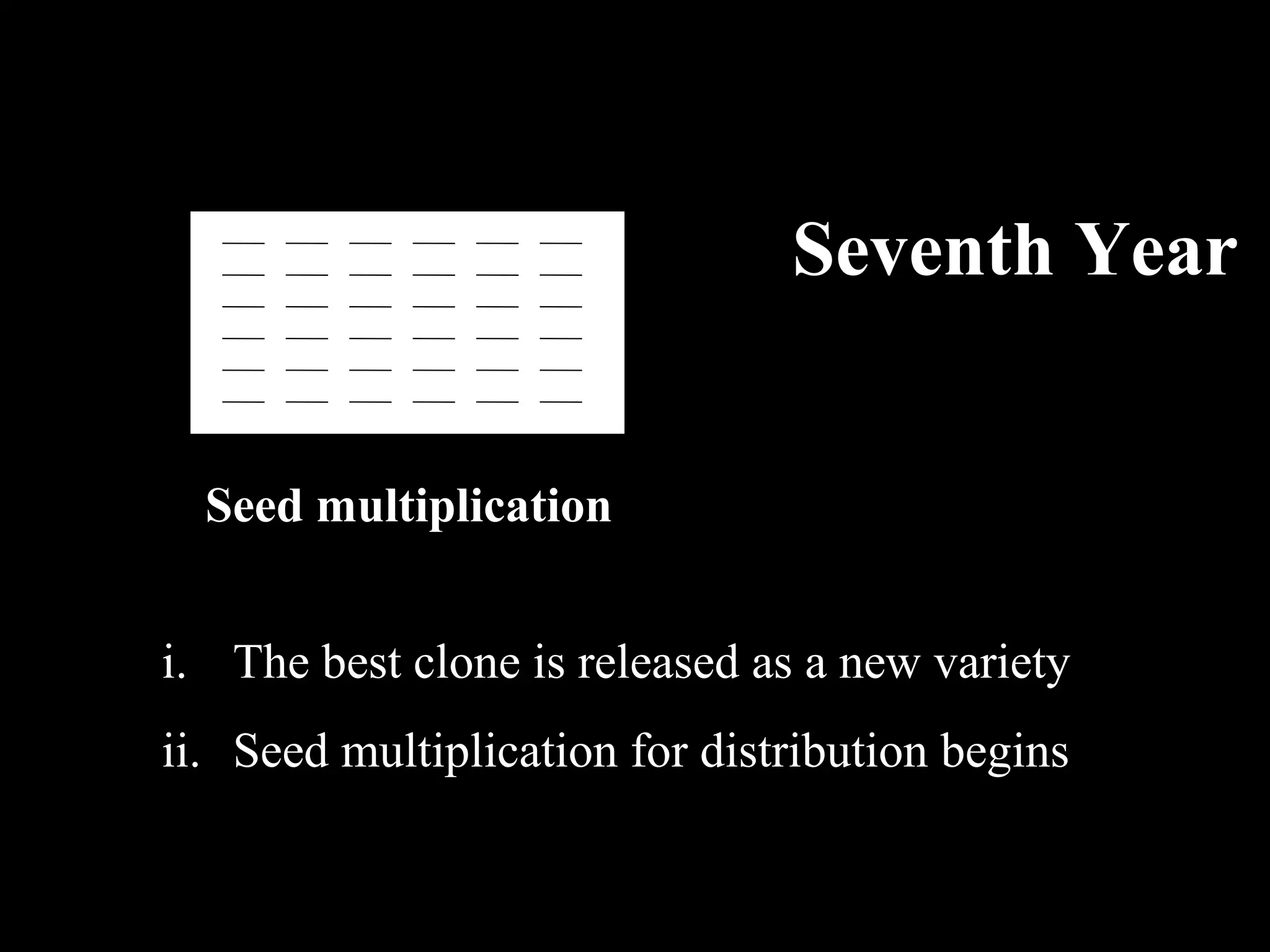 Seventh Year
Seed multiplication
i. The best clone is released as a new variety
ii. Seed multiplication for distribution begins

 