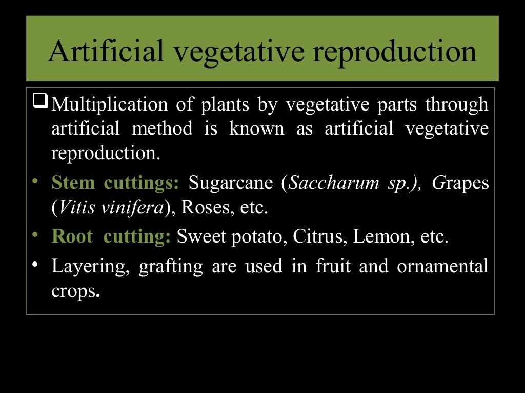Breeding method for clonal propagation crops, apomixis and clonal sel…