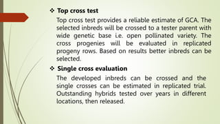  Top cross test
Top cross test provides a reliable estimate of GCA. The
selected inbreds will be crossed to a tester parent with
wide genetic base i.e. open pollinated variety. The
cross progenies will be evaluated in replicated
progeny rows. Based on results better inbreds can be
selected.
 Single cross evaluation
The developed inbreds can be crossed and the
single crosses can be estimated in replicated trial.
Outstanding hybrids tested over years in different
locations, then released.
 