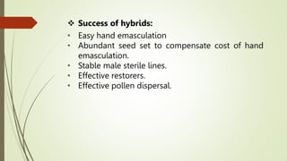  Success of hybrids:
• Easy hand emasculation
• Abundant seed set to compensate cost of hand
emasculation.
• Stable male sterile lines.
• Effective restorers.
• Effective pollen dispersal.
 