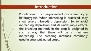 Introduction
Populations of cross-pollinated crops are highly
heterozygous. When inbreeding is practiced, they
show severe inbreeding depression. So, to avoid
inbreeding depression and its undesirable effects,
the breeding methods in the crop is designed in
such a way that there will be a minimum
inbreeding. The breeding methods commonly
used in cross pollinated crops.
 