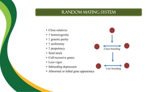 Random mating system
• Close relatives
• ↑ homozygosity
• ↑ genetic purity
• ↑ uniformity
• ↑ prepotency
• Seed stock
• Cull recessive genes
• Loss vigor
• Inbreeding depression
• Abnormal or lethal gene appearance
Close breeding
Line breeding
 