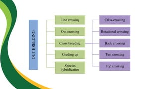 OUT
BREEDING
Line crossing
Out crossing
Cross breeding
Criss-crossing
Rotational crossing
Back crossing
Test crossing
Top crossing
Grading up
Species
hybridization
 