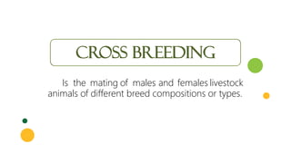 Cross breeding
Is the mating of males and females livestock
animals of different breed compositions or types.
 