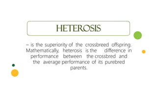 Heterosis
– is the superiority of the crossbreed offspring.
Mathematically, heterosis is the difference in
performance between the crossbred and
the average performance of its purebred
parents.
 