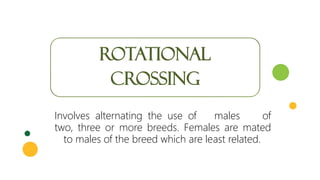 ROTATIONAL
CROSSING
Involves alternating the use of males of
two, three or more breeds. Females are mated
to males of the breed which are least related.
 
