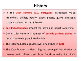 History
 In the 16th century A.D. Portugues introduced Maize,
groundnut, chillies, potato, sweet potato, guava pineapple,
papaya, cashew nut and Tobacco.
 East India Company brought tea, litchi, and loquat from China.
 During 19th century, a number of botanic gardens played an
important role in plant introduction.
 The Calcutta botanic gardens was established in 1781
 The Kew botanic gardens, England arranged introduction of
quinine and rubber trees from South America into India.
 