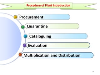 Multiplication and Distribution
Evaluation
Cataloguing
Quarantine
Procurement
18
Procedure of Plant Introduction
 
