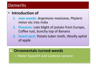 Demerits
• Introduction of
1. new weeds: Argemone mexicana, Phylaris
minor etc into India
2. Diseases: Late blight of potato from Europe,
Coffee rust, bunchy top of Banana
3. Insect pest: Potato tuber moth, Woolly aphid
of apple
4. Ornamentals-turned-weeds
– Water hyacinth and Lantana camara
 