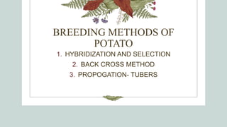 BREEDING METHODS AND ACHEIVEMENT IN VEGETATIVELY PROPOGATED CROPS.pptx