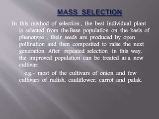 In this method of selection , the best individual plant
is selected from the Base population on the basis of
phenotype , their seeds are produced by open
pollination and then composited to raise the next
generation. After repeated selection in this way,
the improved population can be treated as a new
cultivar.
e.g.- most of the cultivars of onion and few
cultivars of radish, cauliflower, carrot and palak.
 