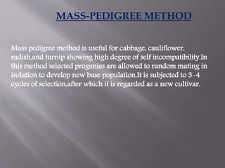 MASS-PEDIGREE METHOD
Mass pedigree method is useful for cabbage, cauliflower,
radish,and turnip showing high degree of self incompatibility.In
this method selected progenies are allowed to random mating in
isolation to develop new base population.It is subjected to 3-4
cycles of selection,after which it is regarded as a new cultivar.
 