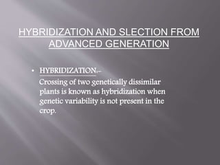 HYBRIDIZATION AND SLECTION FROM
ADVANCED GENERATION
• HYBRIDIZATION:-
Crossing of two genetically dissimilar
plants is known as hybridization when
genetic variability is not present in the
crop.
 