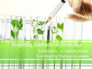 Breeding methods in chick pea
Submitted to: Dr. Naeem Akhter
Submitted by: Rameesha saleem
 