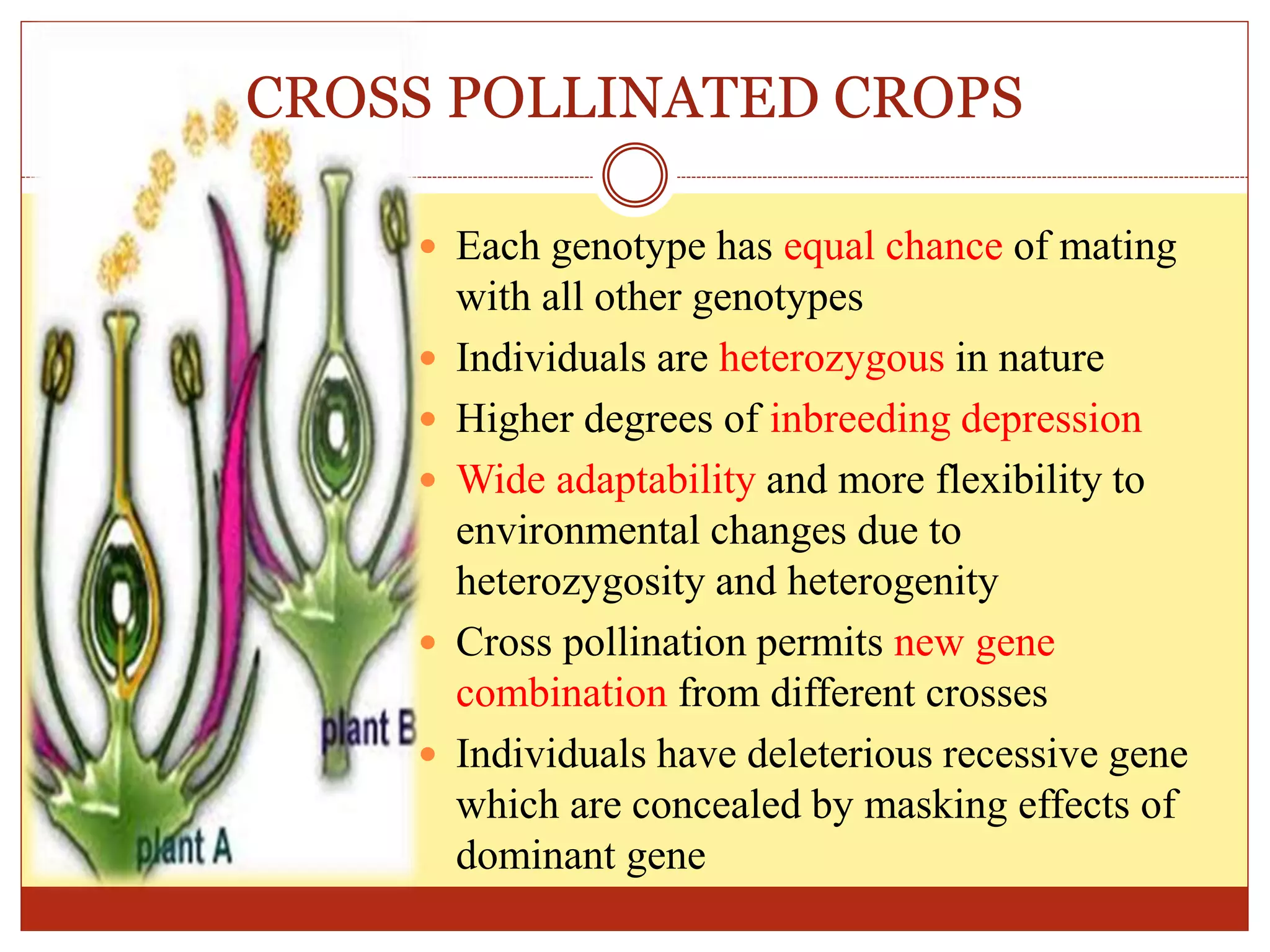 CROSS POLLINATED CROPS
 Each genotype has equal chance of mating
with all other genotypes
 Individuals are heterozygous in nature
 Higher degrees of inbreeding depression
 Wide adaptability and more flexibility to
environmental changes due to
heterozygosity and heterogenity
 Cross pollination permits new gene
combination from different crosses
 Individuals have deleterious recessive gene
which are concealed by masking effects of
dominant gene
 