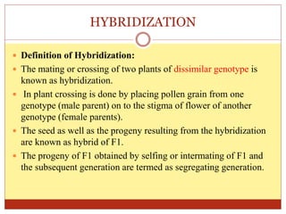 HYBRIDIZATION
 Definition of Hybridization:
 The mating or crossing of two plants of dissimilar genotype is
known as hybridization.
 In plant crossing is done by placing pollen grain from one
genotype (male parent) on to the stigma of flower of another
genotype (female parents).
 The seed as well as the progeny resulting from the hybridization
are known as hybrid of F1.
 The progeny of F1 obtained by selfing or intermating of F1 and
the subsequent generation are termed as segregating generation.
 