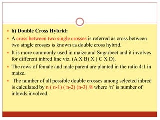  b) Double Cross Hybrid:
 A cross between two single crosses is referred as cross between
two single crosses is known as double cross hybrid.
 It is more commonly used in maize and Sugarbeet and it involves
for different inbred line viz. (A X B) X ( C X D).
 The rows of female and male parent are planted in the ratio 4:1 in
maize.
 The number of all possible double crosses among selected inbred
is calculated by n ( n-1) ( n-2) (n-3) /8 where ‘n’ is number of
inbreds involved.
 