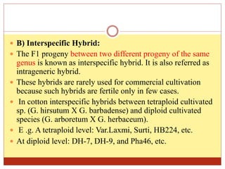  B) Interspecific Hybrid:
 The F1 progeny between two different progeny of the same
genus is known as interspecific hybrid. It is also referred as
intrageneric hybrid.
 These hybrids are rarely used for commercial cultivation
because such hybrids are fertile only in few cases.
 In cotton interspecific hybrids between tetraploid cultivated
sp. (G. hirsutum X G. barbadense) and diploid cultivated
species (G. arboretum X G. herbaceum).
 E .g. A tetraploid level: Var.Laxmi, Surti, HB224, etc.
 At diploid level: DH-7, DH-9, and Pha46, etc.
 