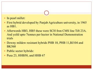  In pearl millet:
 First hybrid developed by Panjab Agriculture university, in 1965
as HB1.
 Afterwords HB3, HB5 these were SCH fron CMS line Tift 23A.
And yeild upto 7tonnes per hector in National Demonstration
trials
 Downy mildew resistant hybrids PHB 10, PHB 11,BJ104 and
BK560
 Public sector hybrids:
 Pusa 23, HHB50, and HHB 67
 