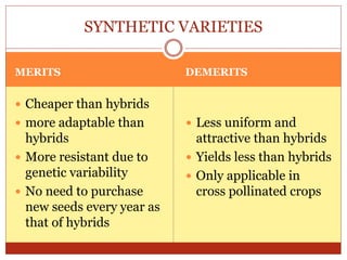 MERITS DEMERITS
 Cheaper than hybrids
 more adaptable than
hybrids
 More resistant due to
genetic variability
 No need to purchase
new seeds every year as
that of hybrids
 Less uniform and
attractive than hybrids
 Yields less than hybrids
 Only applicable in
cross pollinated crops
SYNTHETIC VARIETIES
 