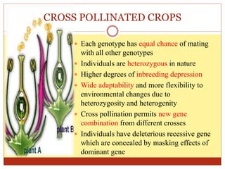 CROSS POLLINATED CROPS
 Each genotype has equal chance of mating
with all other genotypes
 Individuals are heterozygous in nature
 Higher degrees of inbreeding depression
 Wide adaptability and more flexibility to
environmental changes due to
heterozygosity and heterogenity
 Cross pollination permits new gene
combination from different crosses
 Individuals have deleterious recessive gene
which are concealed by masking effects of
dominant gene
 