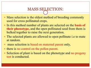 MASS SELECTION:
 Mass selection is the oldest method of breeding commonly
used for cross pollinated crops.
 In this method number of plants are selected on the basis of
their phenotype, and the open pollinated seed from them is
bulked together to raise the next generation.
 The selected plants are allowed to open pollinate i.e to mate
at random.
 mass selection is based on maternal parent only,
 there is no control on the pollen parent.
 Selection of plant is based on the phenotype and no progeny
test is conducted.
 