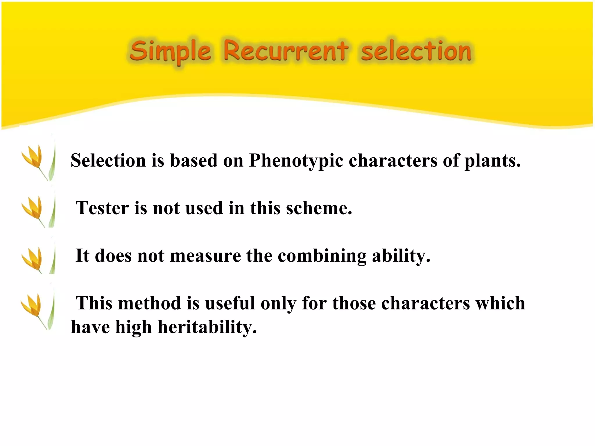 Selection is based on Phenotypic characters of plants.
Tester is not used in this scheme.
It does not measure the combining ability.
This method is useful only for those characters which
have high heritability.
 