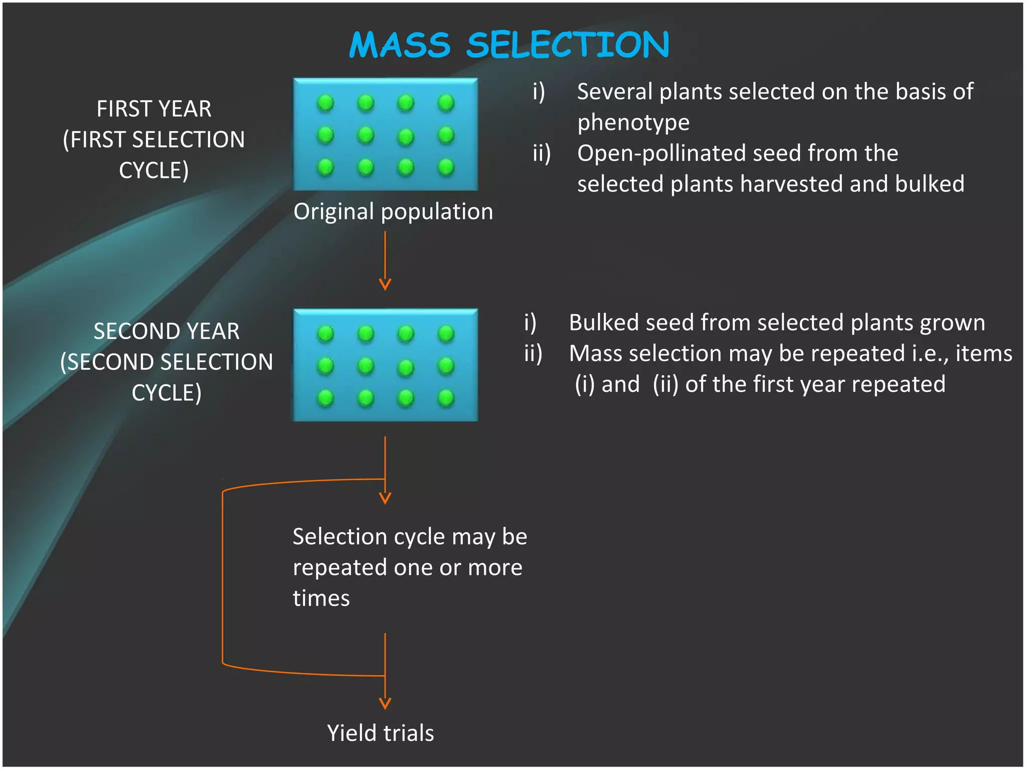Selection cycle may be
repeated one or more
times
Original population
FIRST YEAR
(FIRST SELECTION
CYCLE)
SECOND YEAR
(SECOND SELECTION
CYCLE)
i) Several plants selected on the basis of
phenotype
ii) Open-pollinated seed from the
selected plants harvested and bulked
i) Bulked seed from selected plants grown
ii) Mass selection may be repeated i.e., items
(i) and (ii) of the first year repeated
Yield trials
MASS SELECTION
 